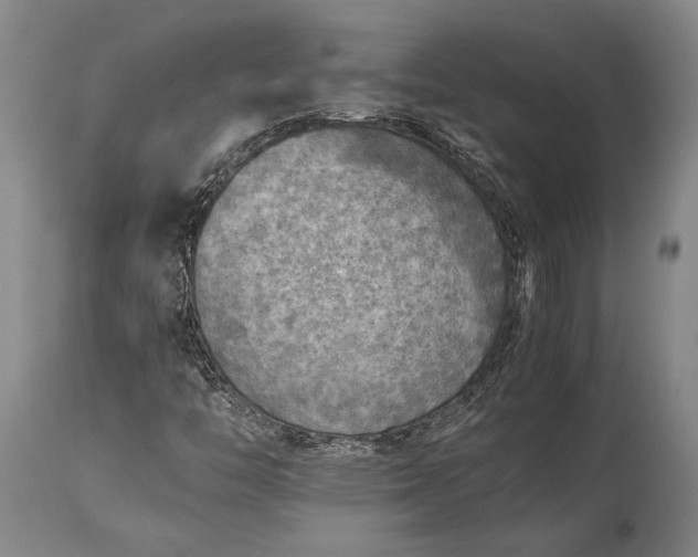 X0000115441446200911181512