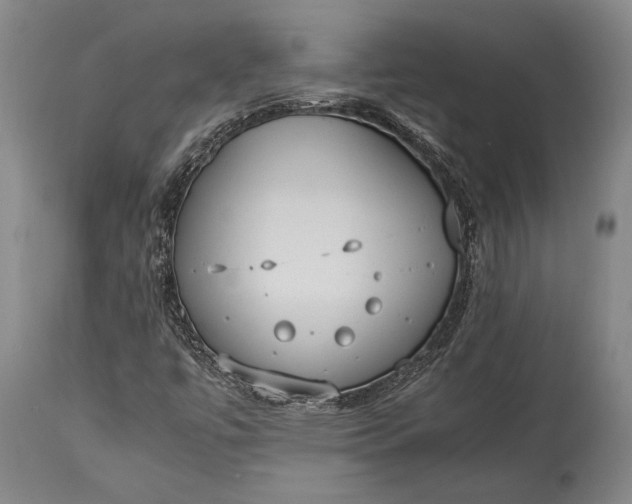 X0000115441447200911181512