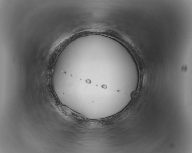 X0000115441448200911181512