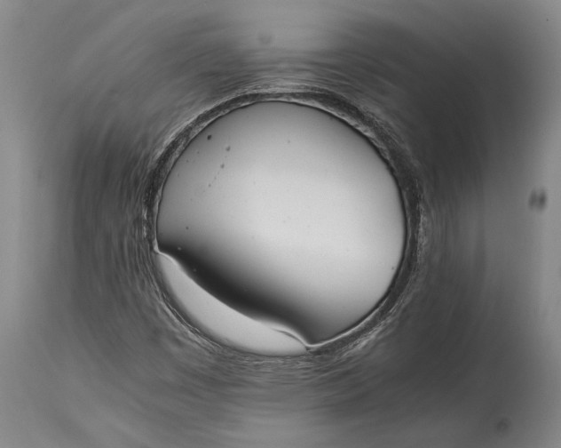 X0000115441449200911181512