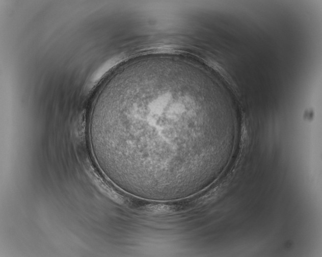 X0000115441450200911181512