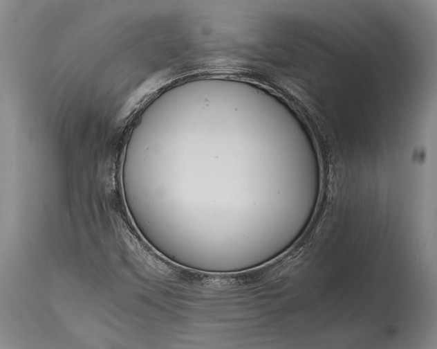X0000115441451200911181512