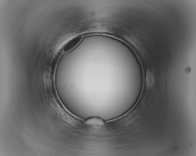 X0000115441452200911181512
