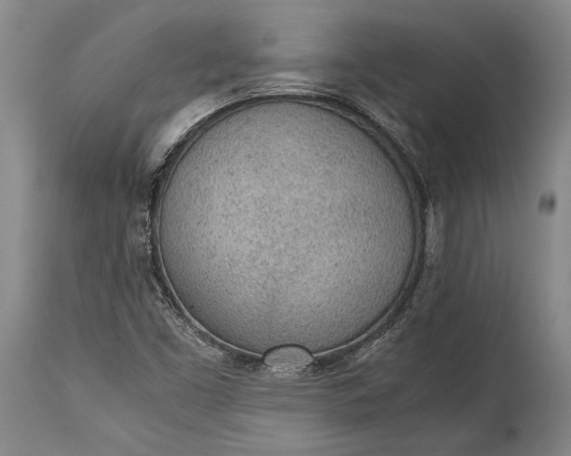 X0000115441453200911181512
