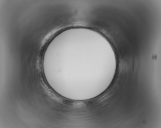 X0000115441454200911181512