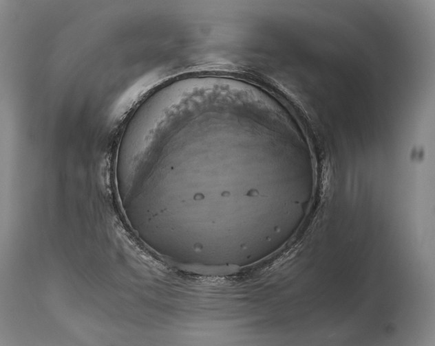 X0000115441455200911181512