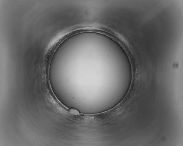X0000115441456200911181512