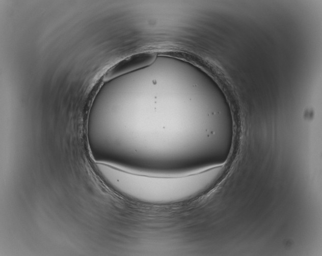 X0000115441457200911181512