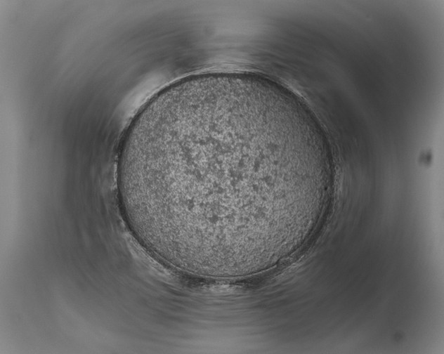 X0000115441459200911181512