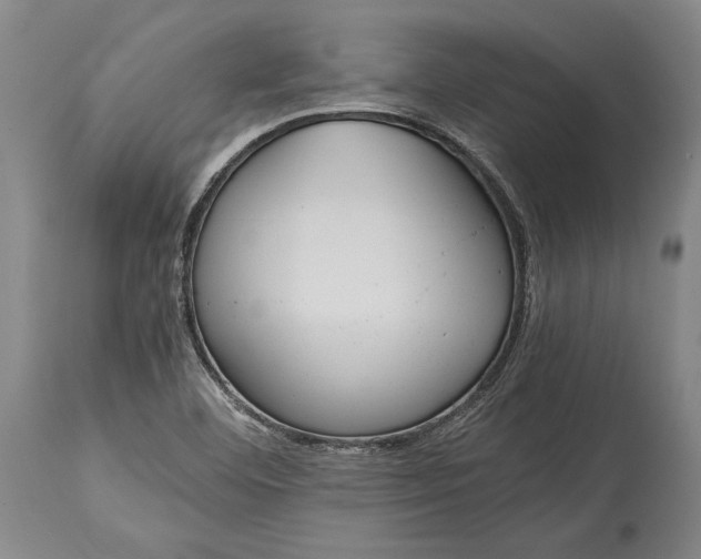X0000115441460200911181512