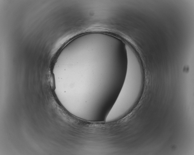 X0000115441461200911181512