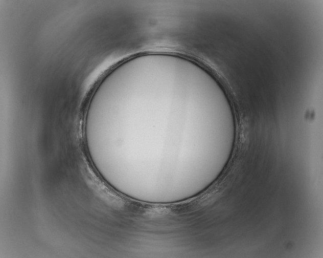 X0000115441462200911181512