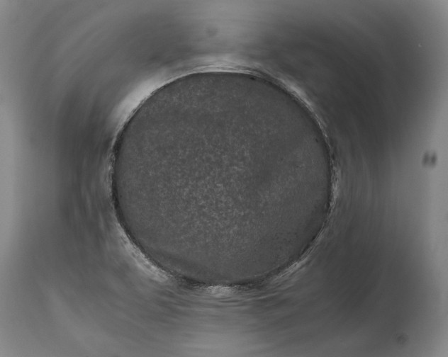X0000115441463200911181512