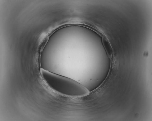 X0000115441464200911181512