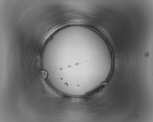 X0000115441465200911181512