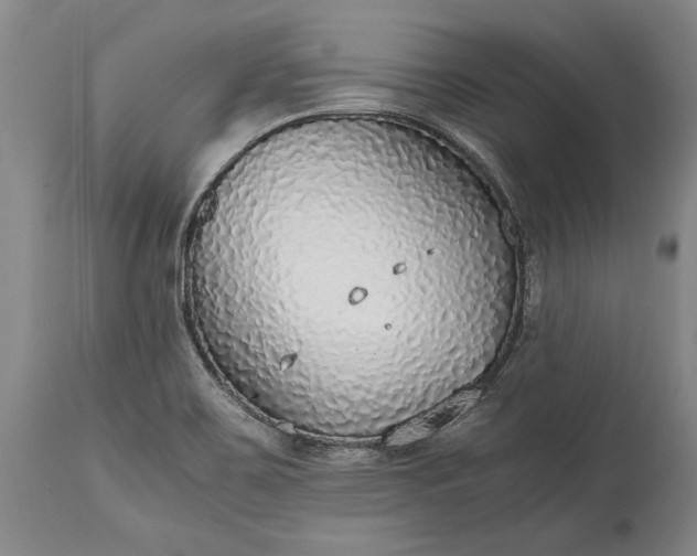 X0000115441467200911181512