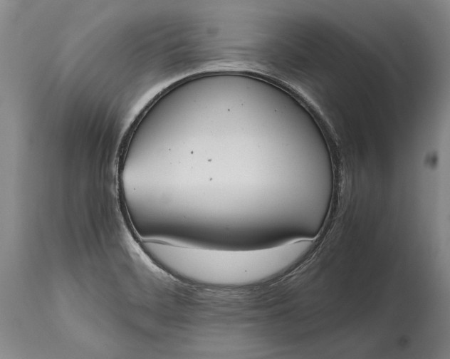 X0000115441468200911181512