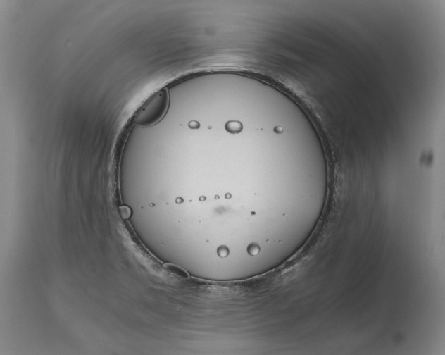X0000115441469200911181512