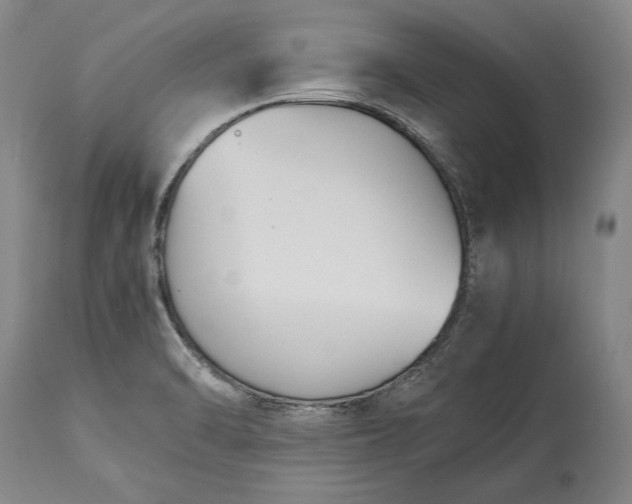X0000115441470200911181512