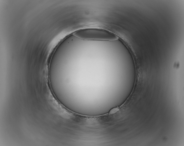 X0000115441472200911181512