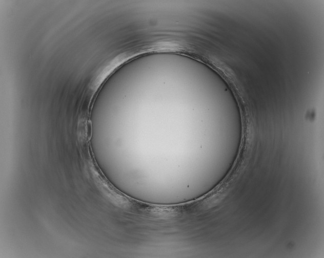 X0000115441473200911181512