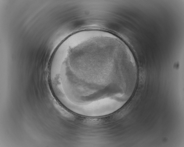 X0000115441474200911181512