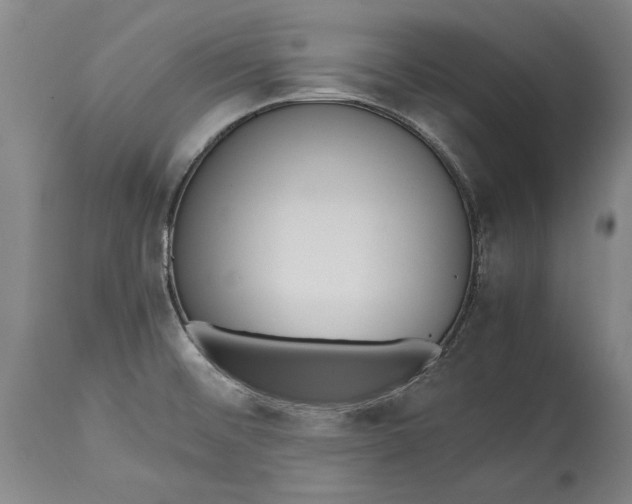 X0000115441476200911181512