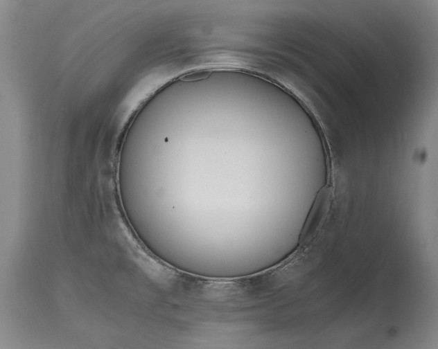 X0000115441477200911181512