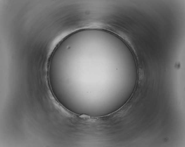 X0000115441480200911181512