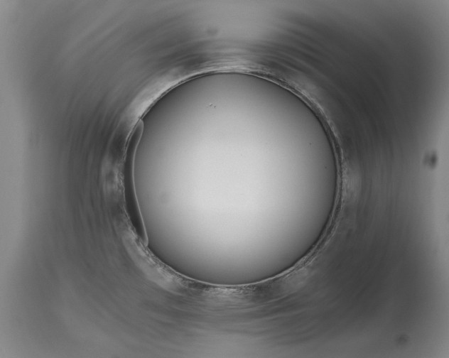 X0000115441481200911181512