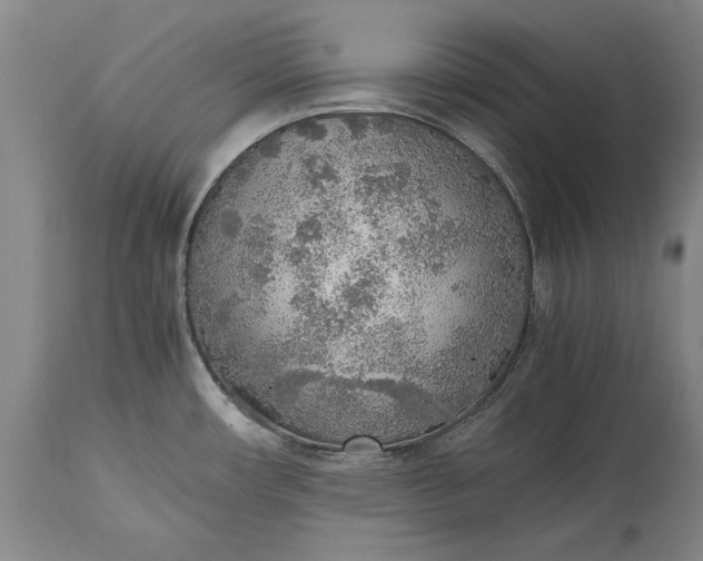 X0000115441482200911181512