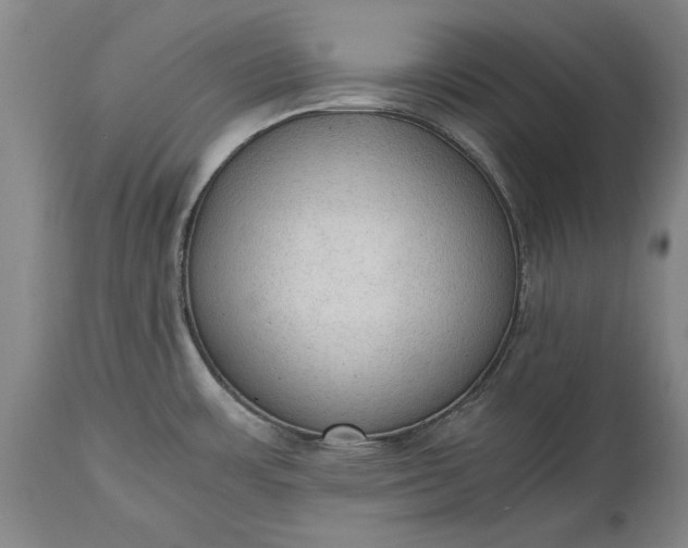 X0000115441483200911181512