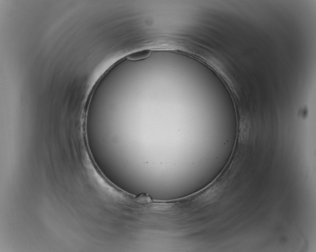 X0000115441484200911181512