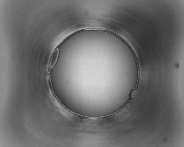 X0000115441485200911181512