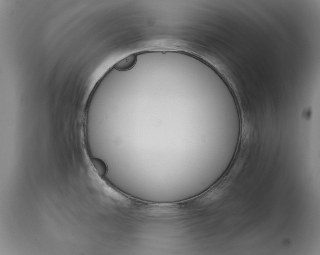 X0000115441486200911181512