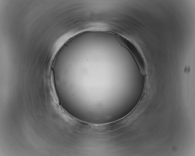 X0000115441488200911181512