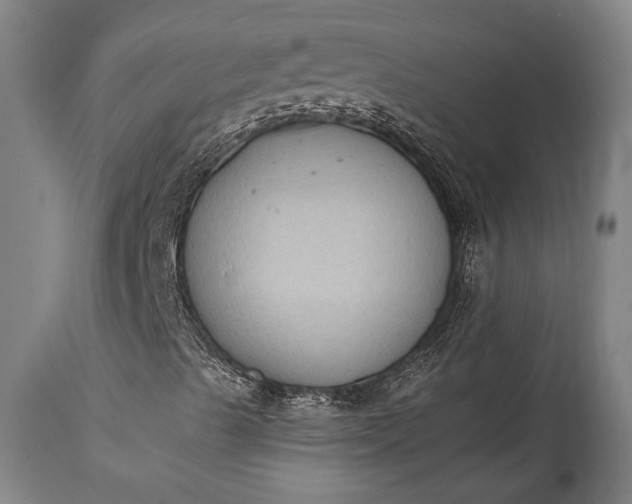 X0000115441489200911181511