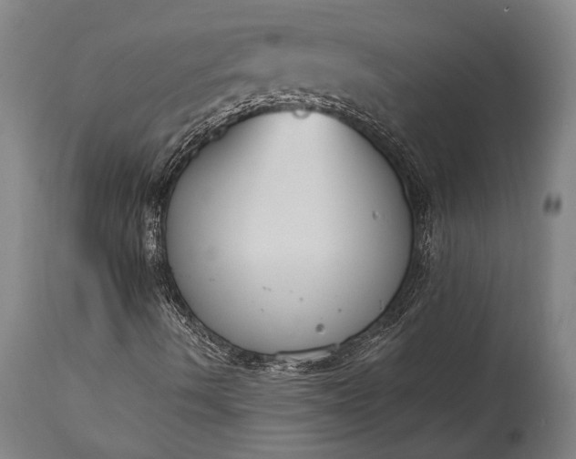 X0000115441490200911181511