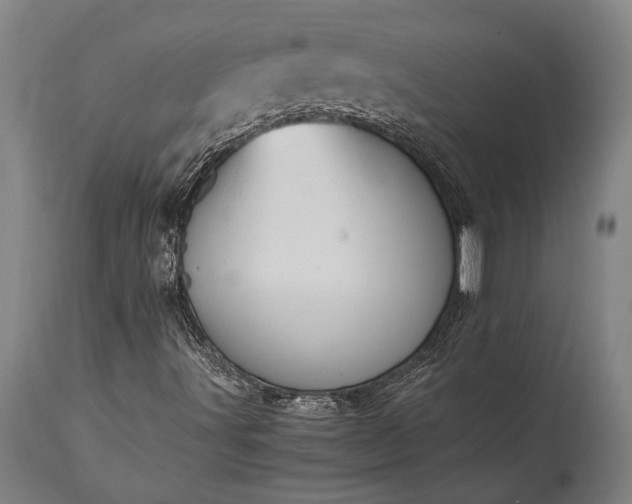 X0000115441491200911181511