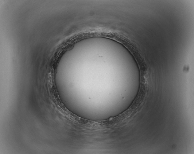 X0000115441493200911181511