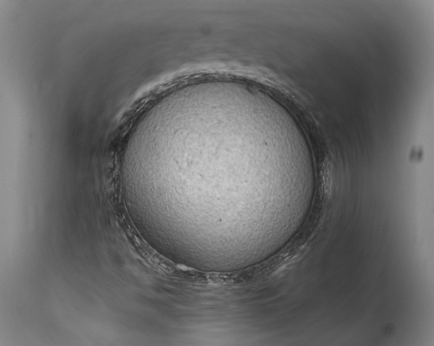 X0000115441494200911181511