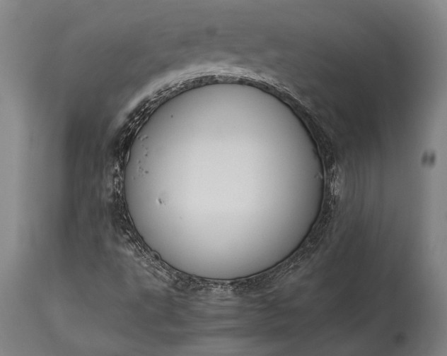 X0000115441495200911181511
