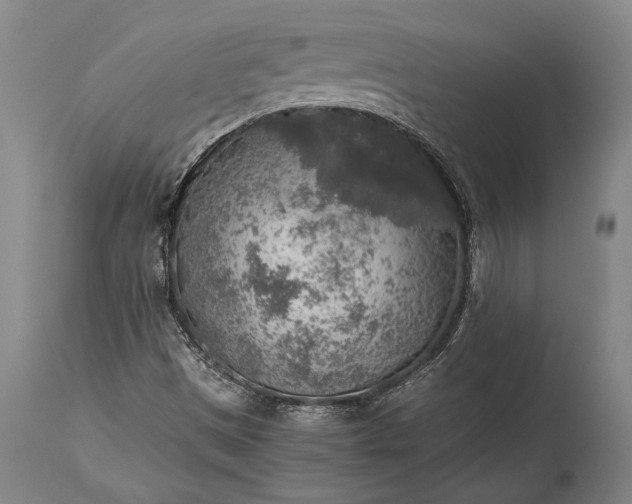 X0000115441497200911181511