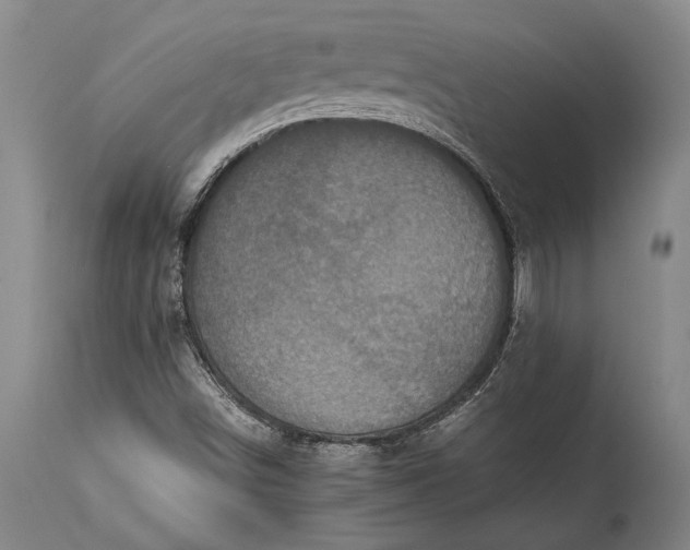 X0000115441498200911181511