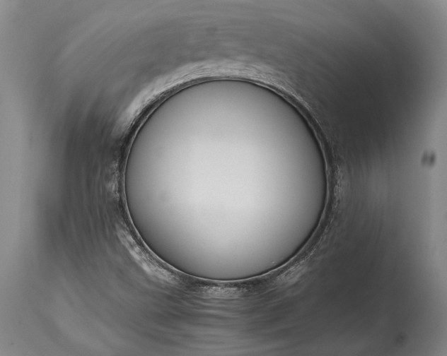X0000115441499200911181511