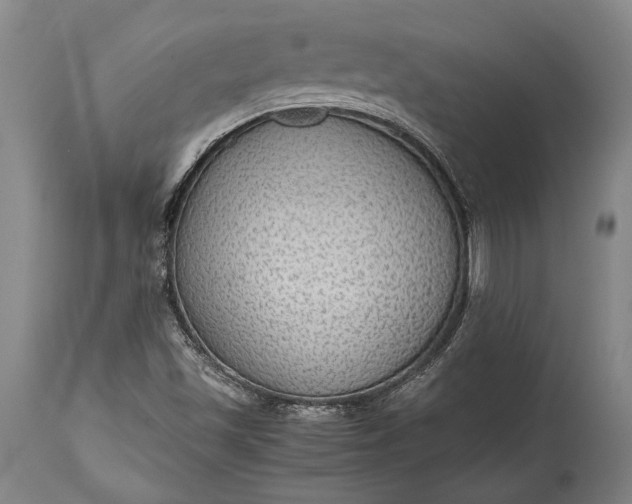 X0000115441501200911181511