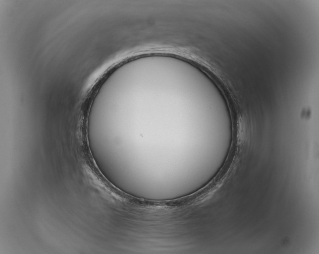 X0000115441502200911181511