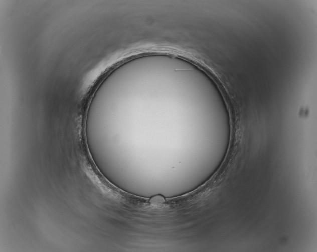 X0000115441503200911181511