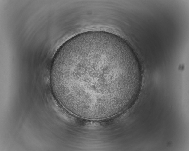 X0000115441505200911181511