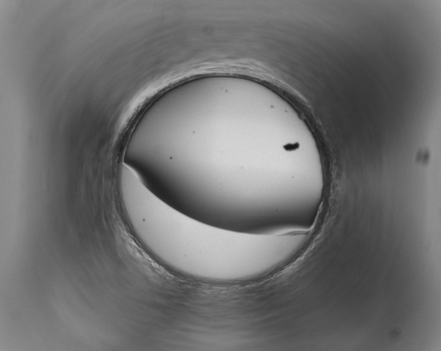 X0000115441506200911181511